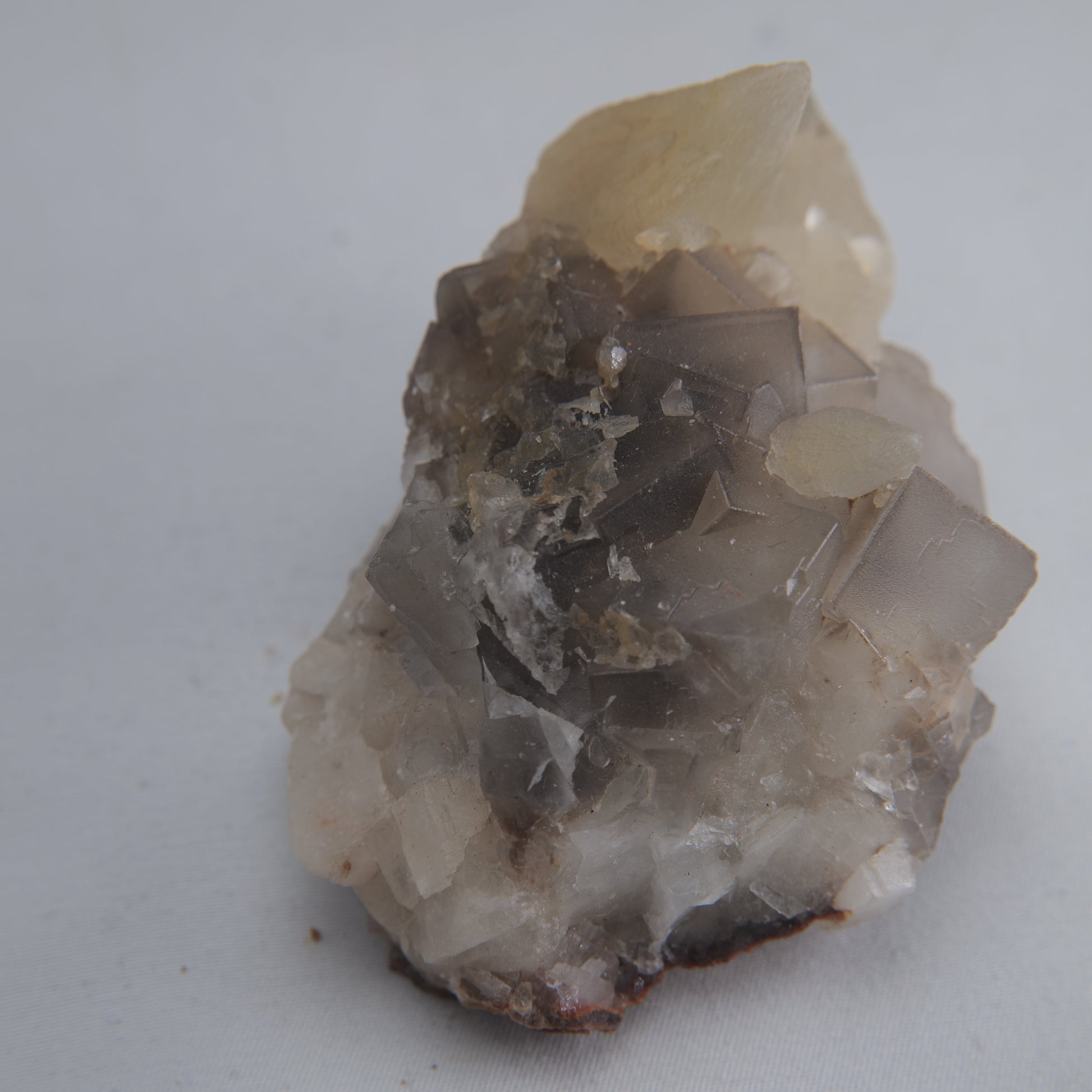 Dog Tooth Calcite Specimen 190g - Luna Panther