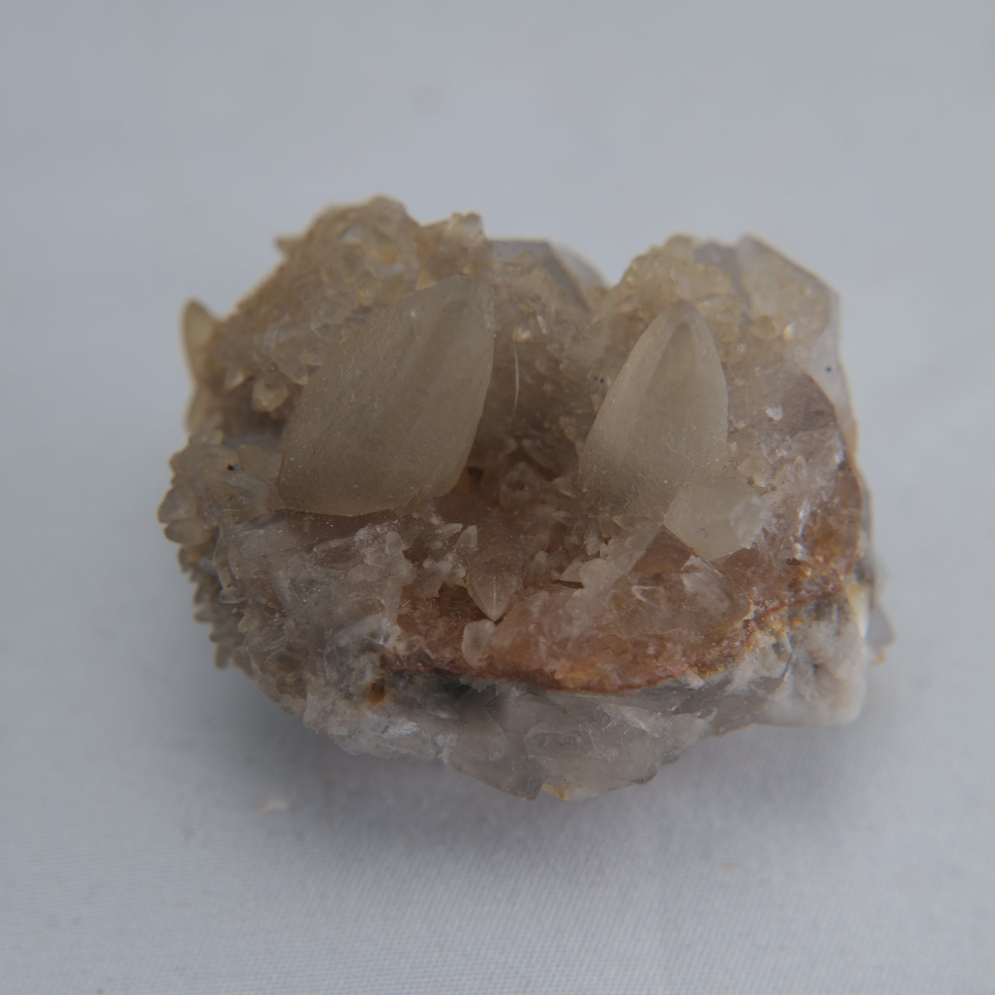 Dog Tooth Calcite Specimen 50g - Luna Panther