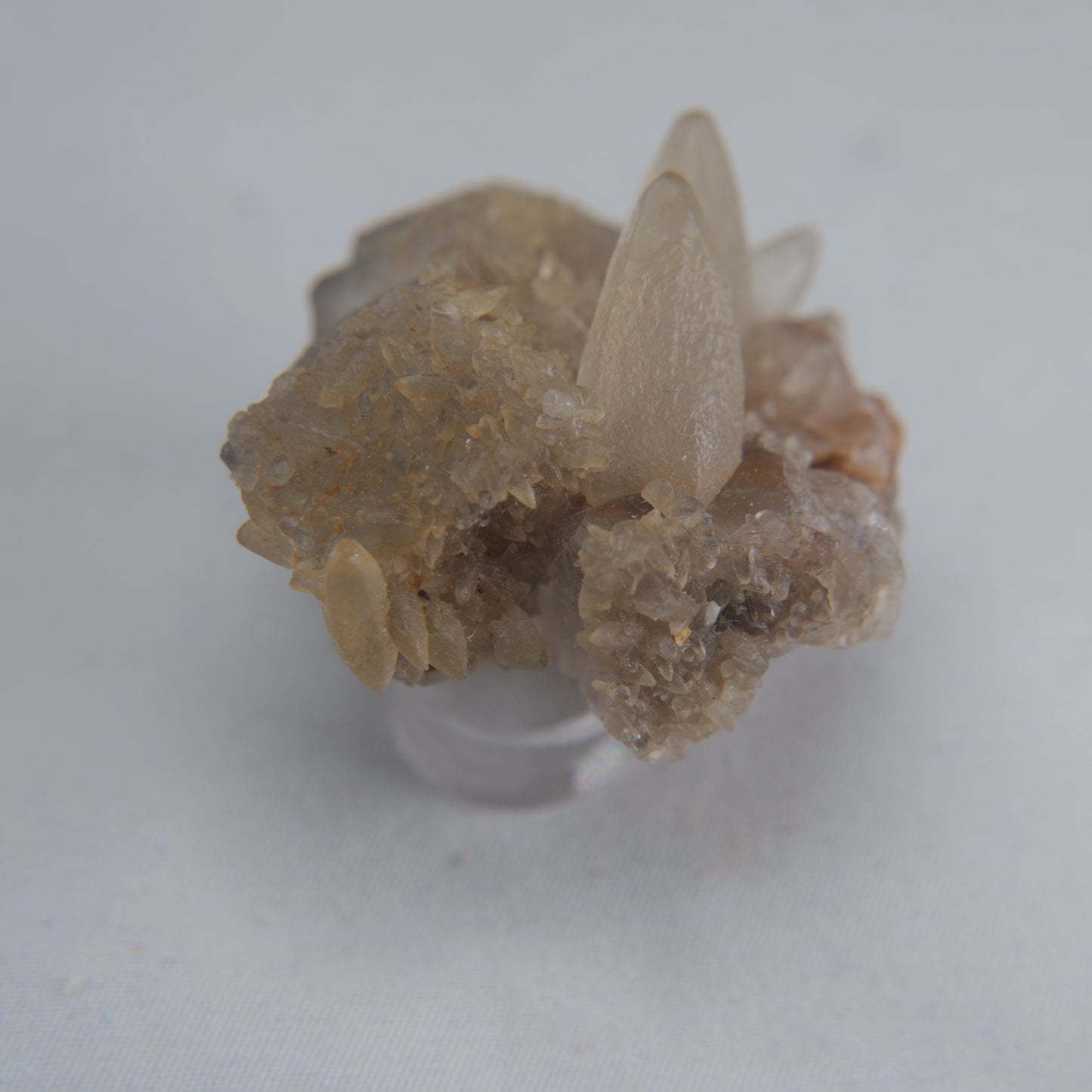 Dog Tooth Calcite Specimen 50g - Luna Panther