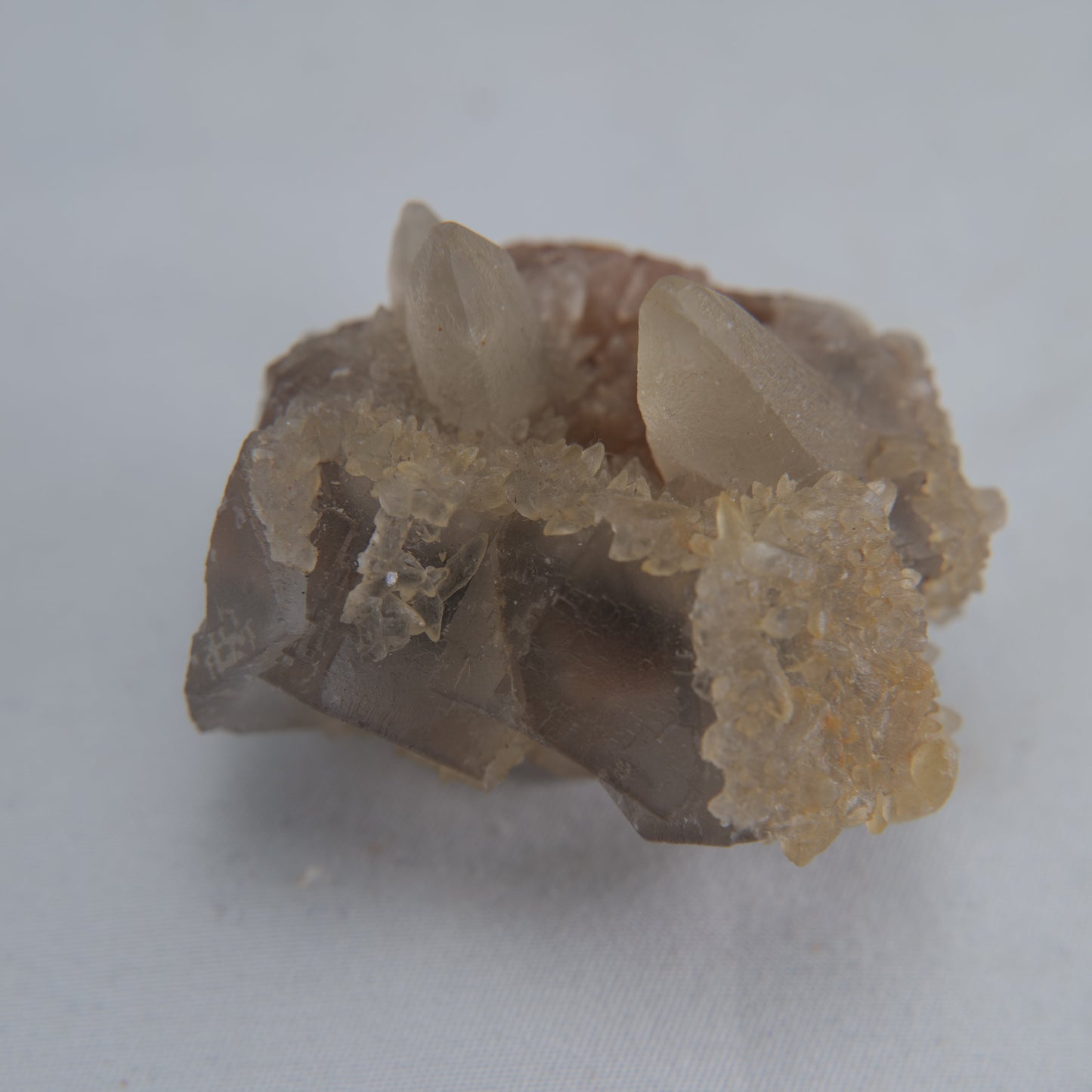 Dog Tooth Calcite Specimen 50g - Luna Panther