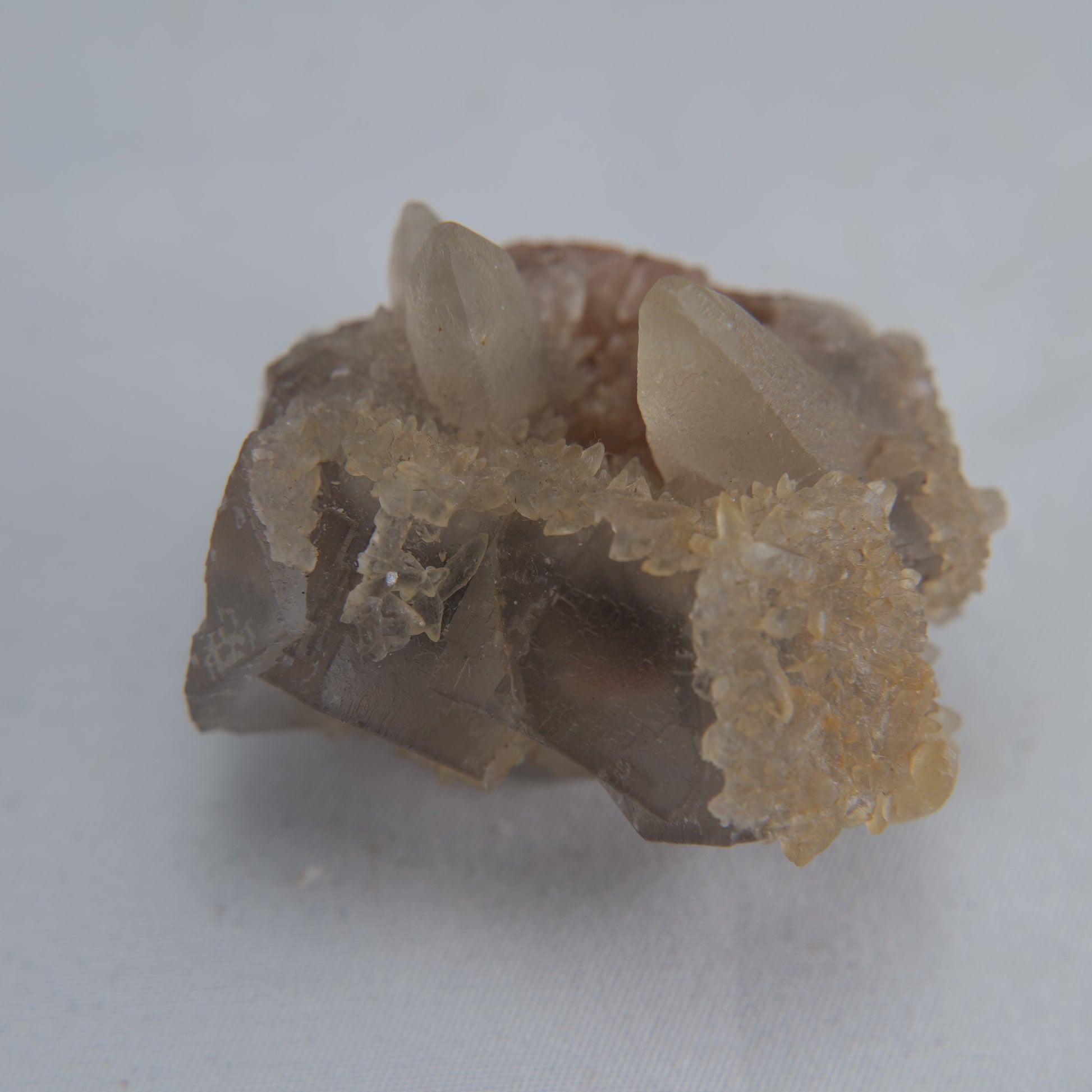 Dog Tooth Calcite Specimen 50g - Luna Panther