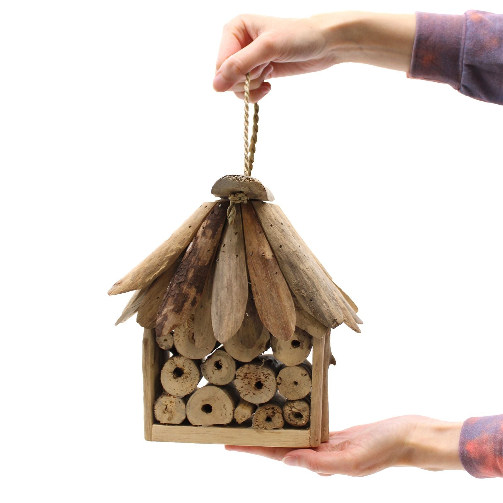 Driftwood Bee & Insect Box - Luna Panther