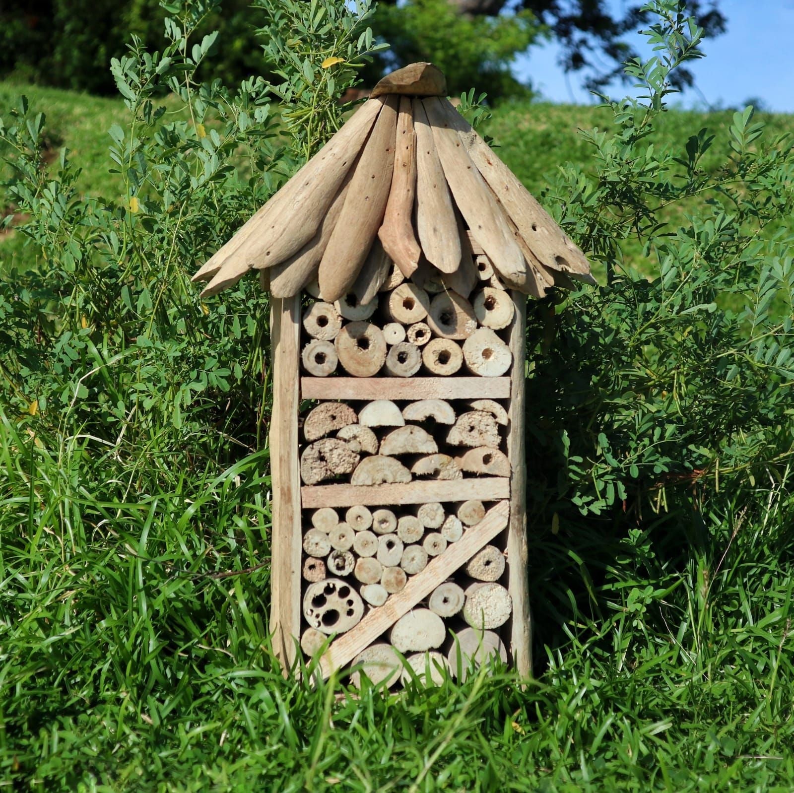 Driftwood Bee & Insect Highrise Box - Luna Panther