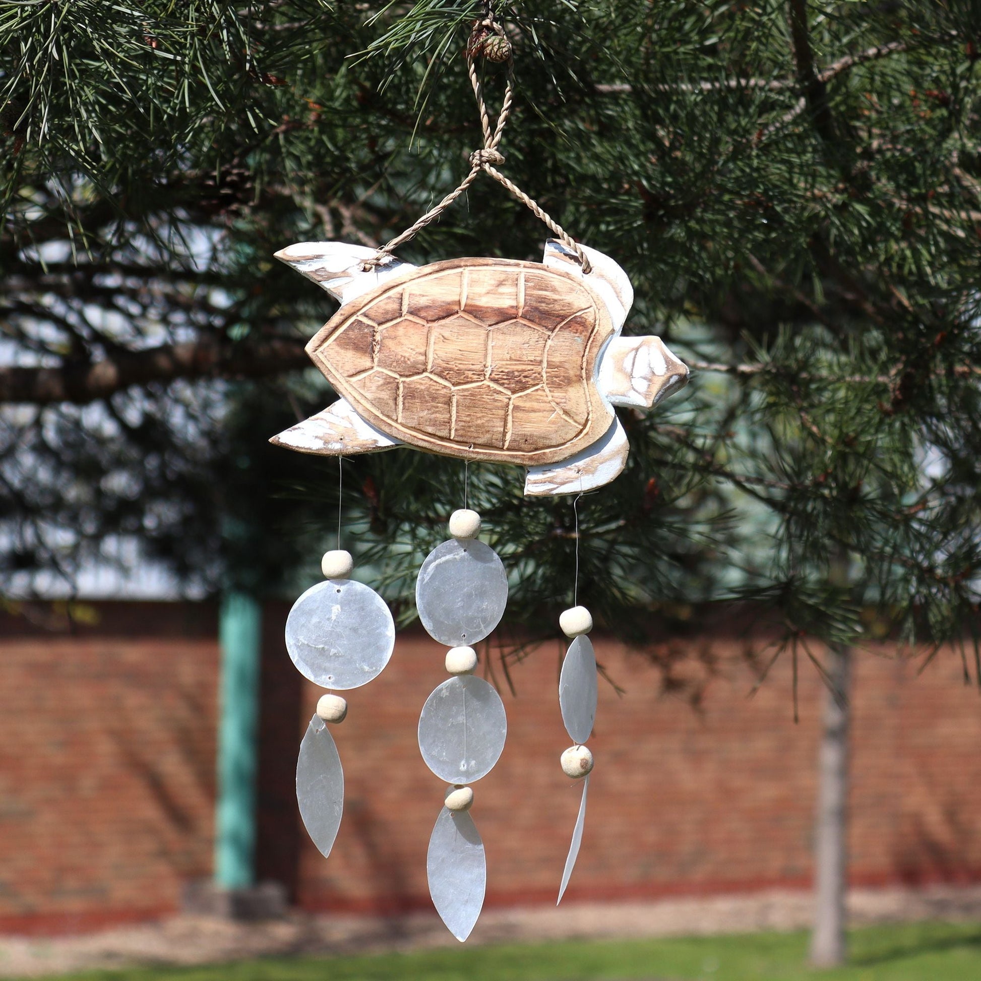 Driftwood Wind Chime - Whitewash Turtle Carving and Natural Copis Drop - Luna Panther