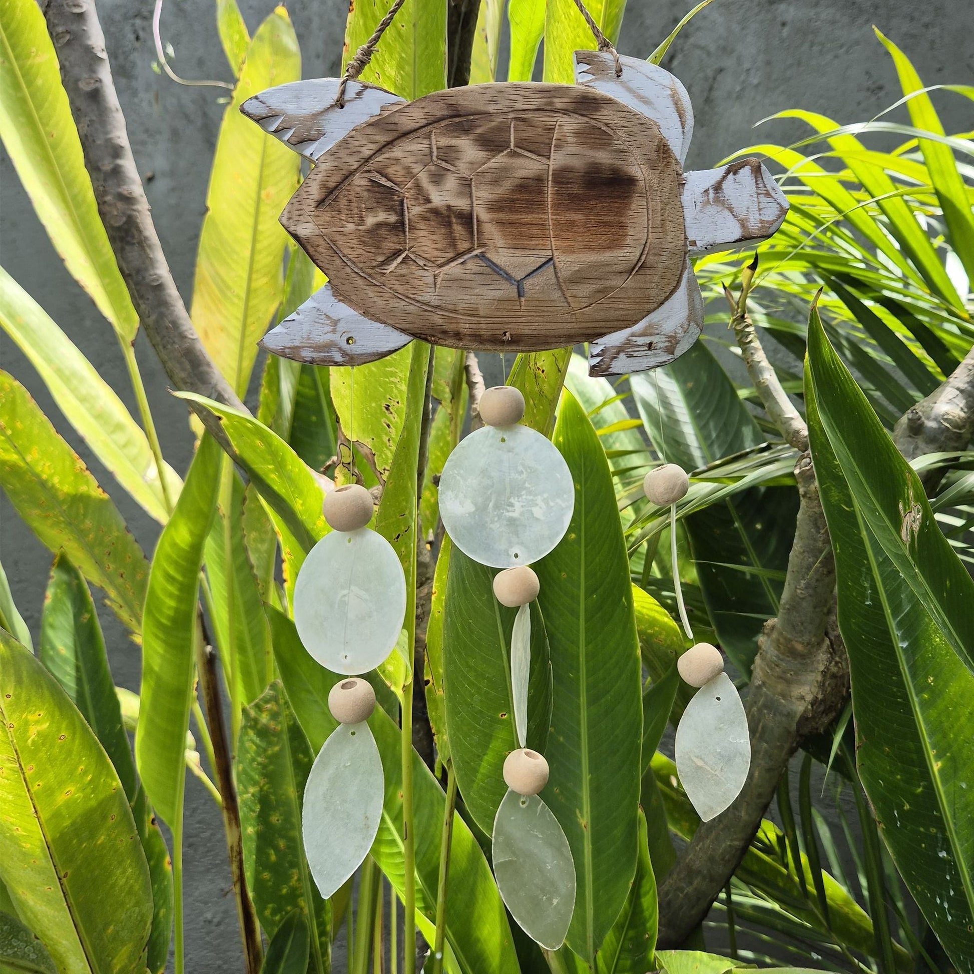 Driftwood Wind Chime - Whitewash Turtle Carving and Natural Copis Drop - Luna Panther