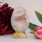 Natural Druzy Agate Egg 322g 80mm featuring banded patterns and glossy finish - Luna Panther