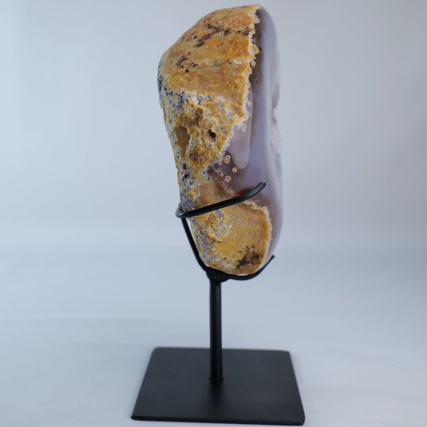 Druzy Agate Geode on Stand 1238g - Luna Panther
