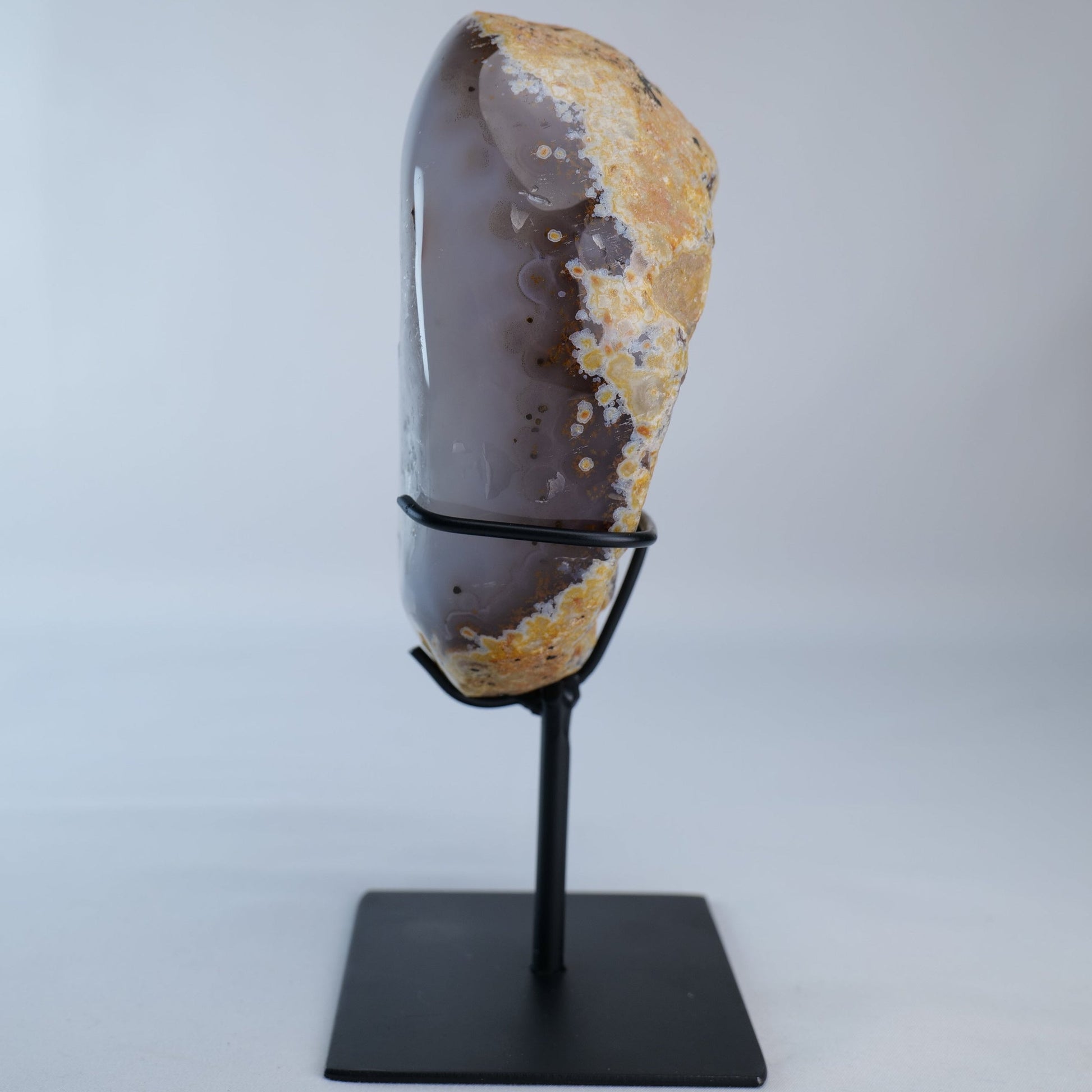 Druzy Agate Geode on Stand 1238g - Luna Panther