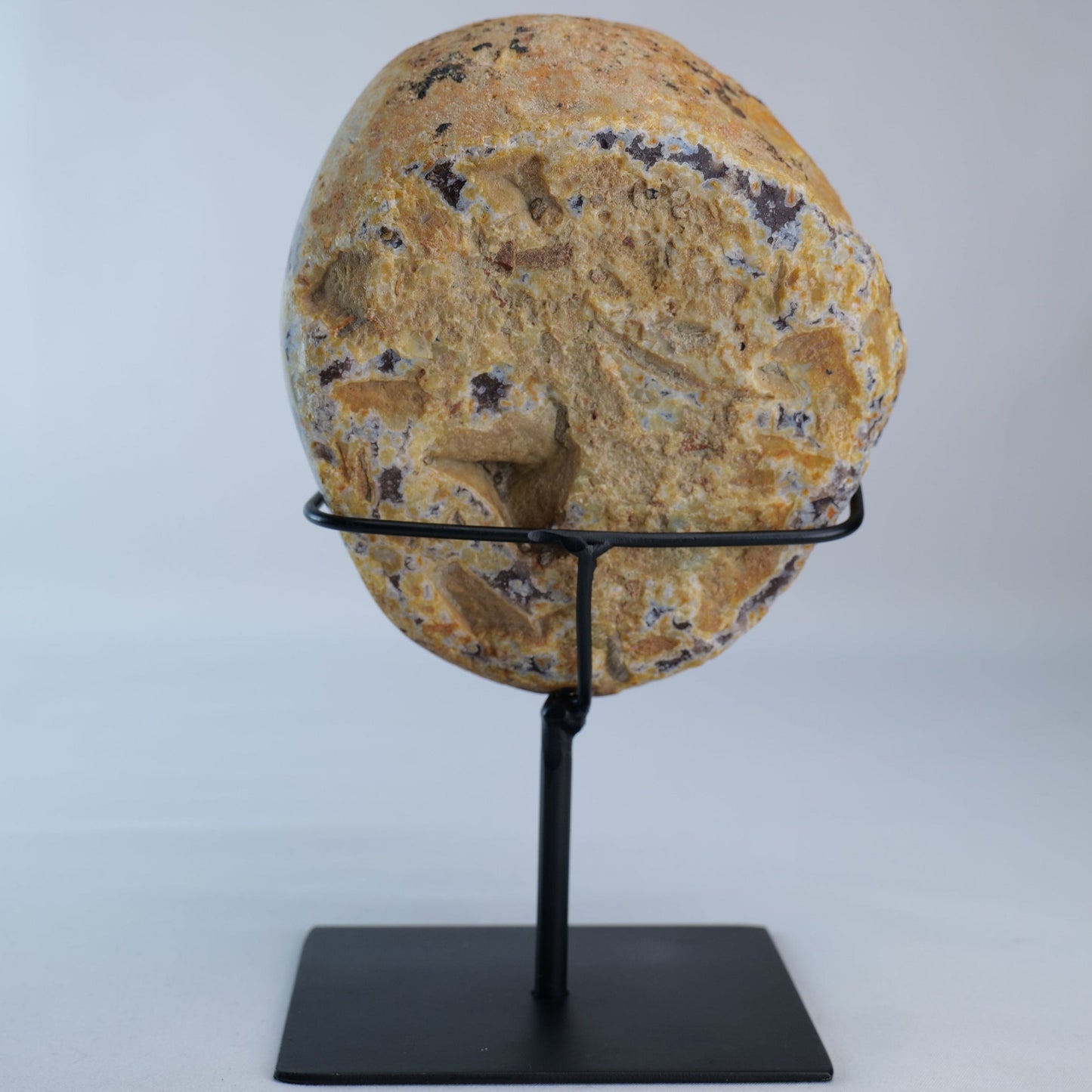 Druzy Agate Geode on Stand 1238g - Luna Panther