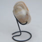 Druzy Agate Heart – 189g - Luna Panther