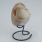 Druzy Agate Heart – 189g - Luna Panther