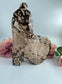 Natural Druzy Chocolate Calcite 1243g featuring soft translucent tone and gentle sheen - Luna Panther