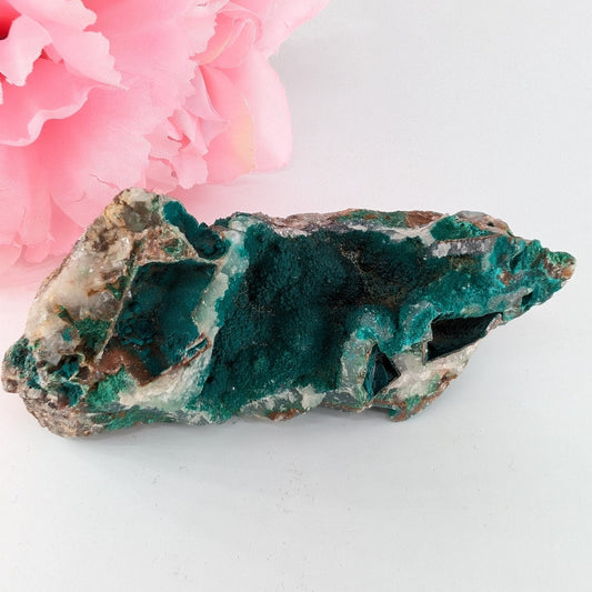 Natural Druzy Chrysocolla Dolomite With Malachite 195G featuring turquoise-blue tone with earthy matrix - Luna Panther alternate view