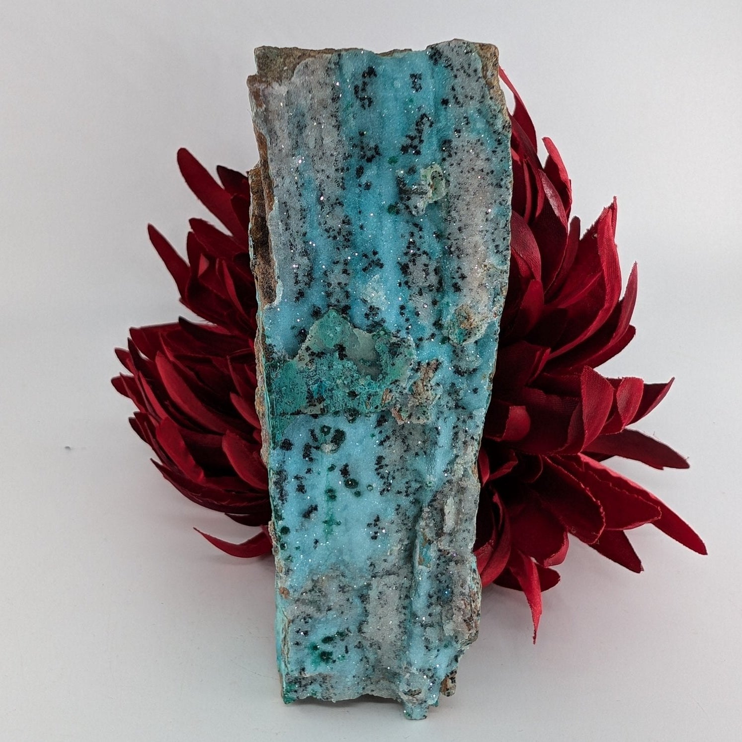Natural Druzy Chrysocolla Dolomite With Malachite 340G featuring turquoise-blue tone with earthy matrix - Luna Panther