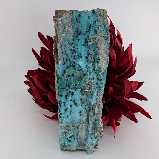 Natural Druzy Chrysocolla Dolomite With Malachite 340G featuring turquoise-blue tone with earthy matrix - Luna Panther alternate view