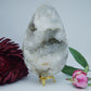 Natural Druzy Green Moss Agate Egg 2127g 170mm featuring green mossy inclusions in translucent base - Luna Panther