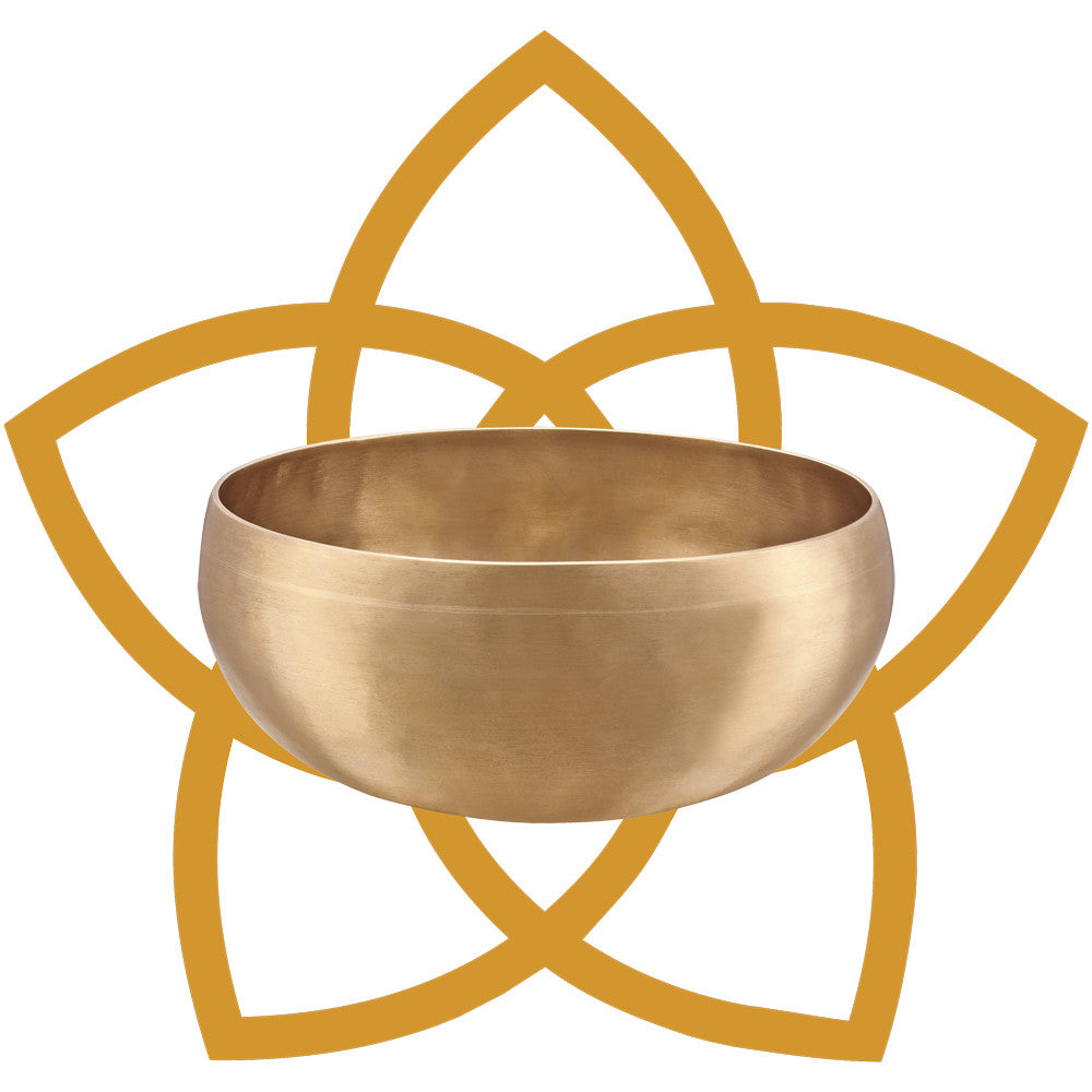 MEINL Sonic Energy Synthesis Series Venus Flower Singing Bowl - 1000g detail view 3 at Luna Panther