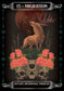 Earth & Bone Oracle - Luna Panther