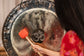 MEINL Sonic Energy Gong Mallet Medium - Sweet Tangerine detail view 2 at Luna Panther
