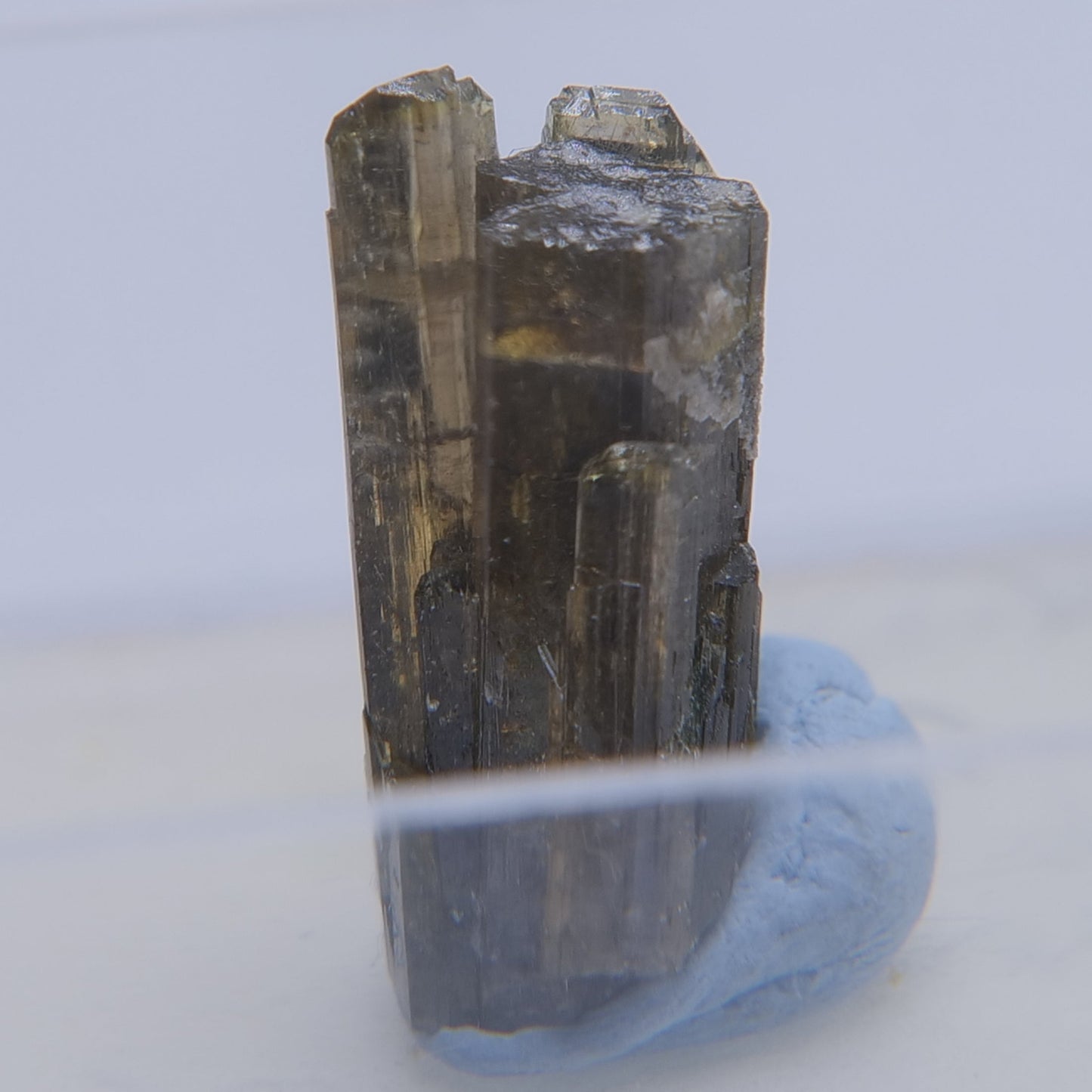 Epidote from Isere, Auvergne-Rhone-Alpes, France - Thumbnail - Luna Panther