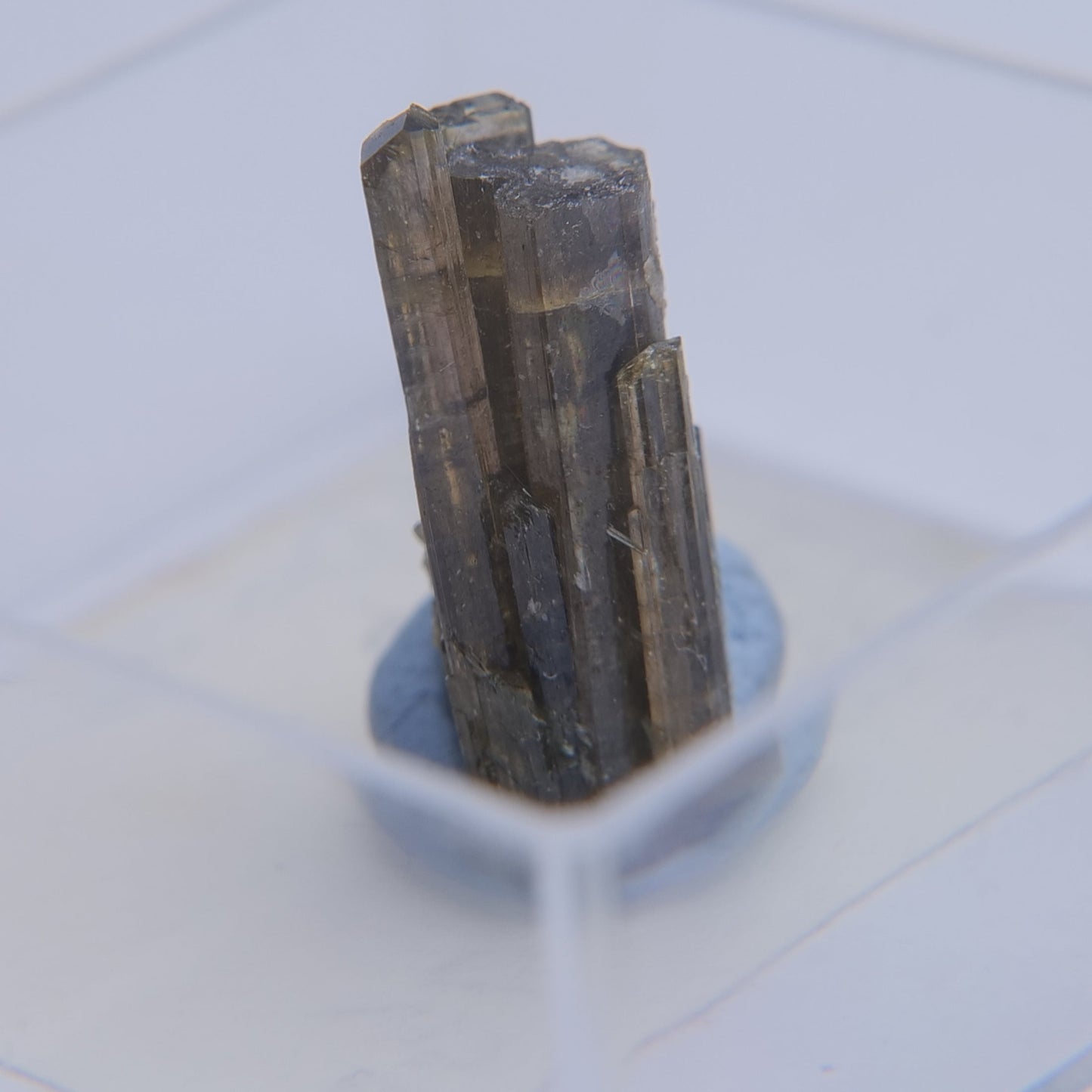 Epidote from Isere, Auvergne-Rhone-Alpes, France - Thumbnail - Luna Panther