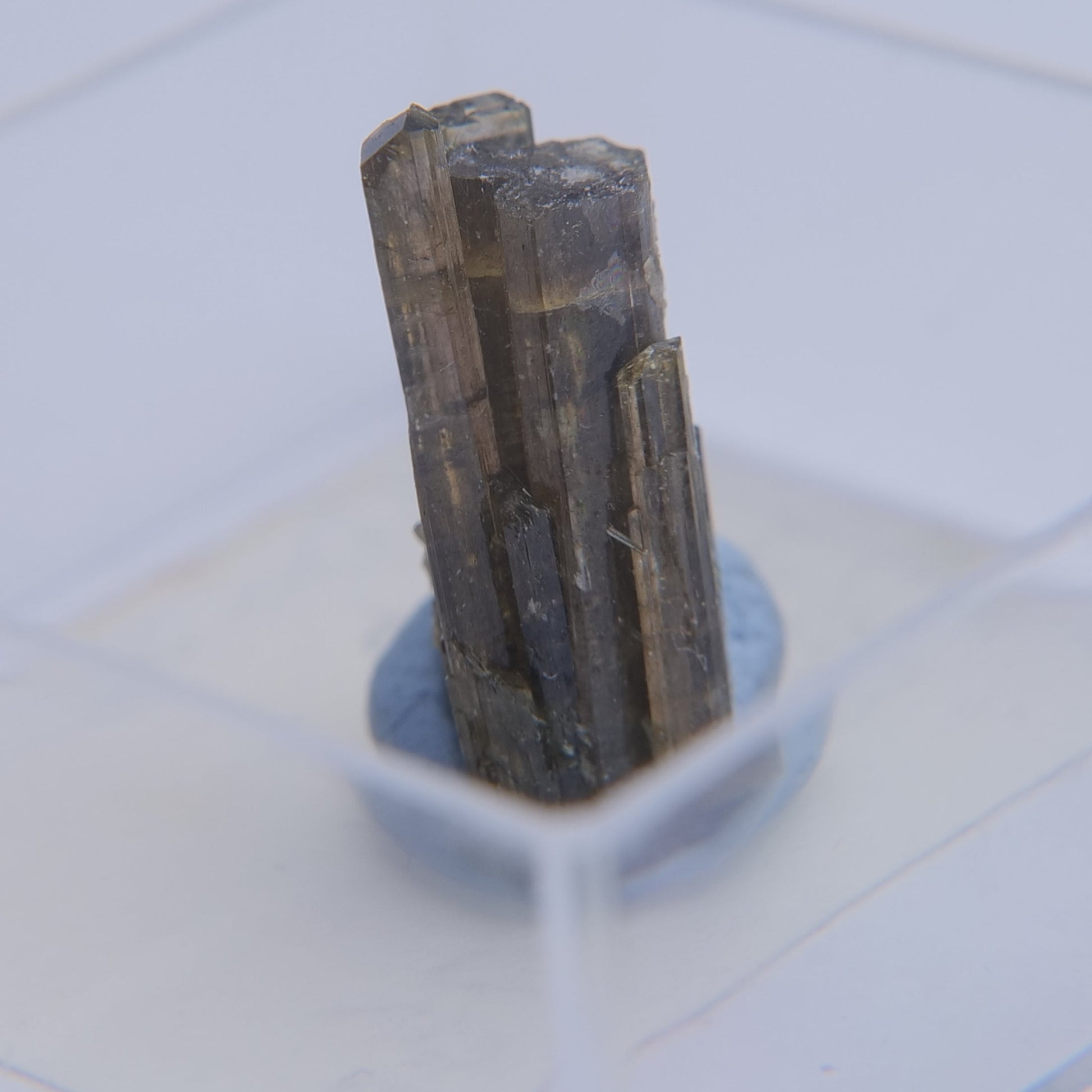 Epidote from Isere, Auvergne-Rhone-Alpes, France - Thumbnail - Luna Panther