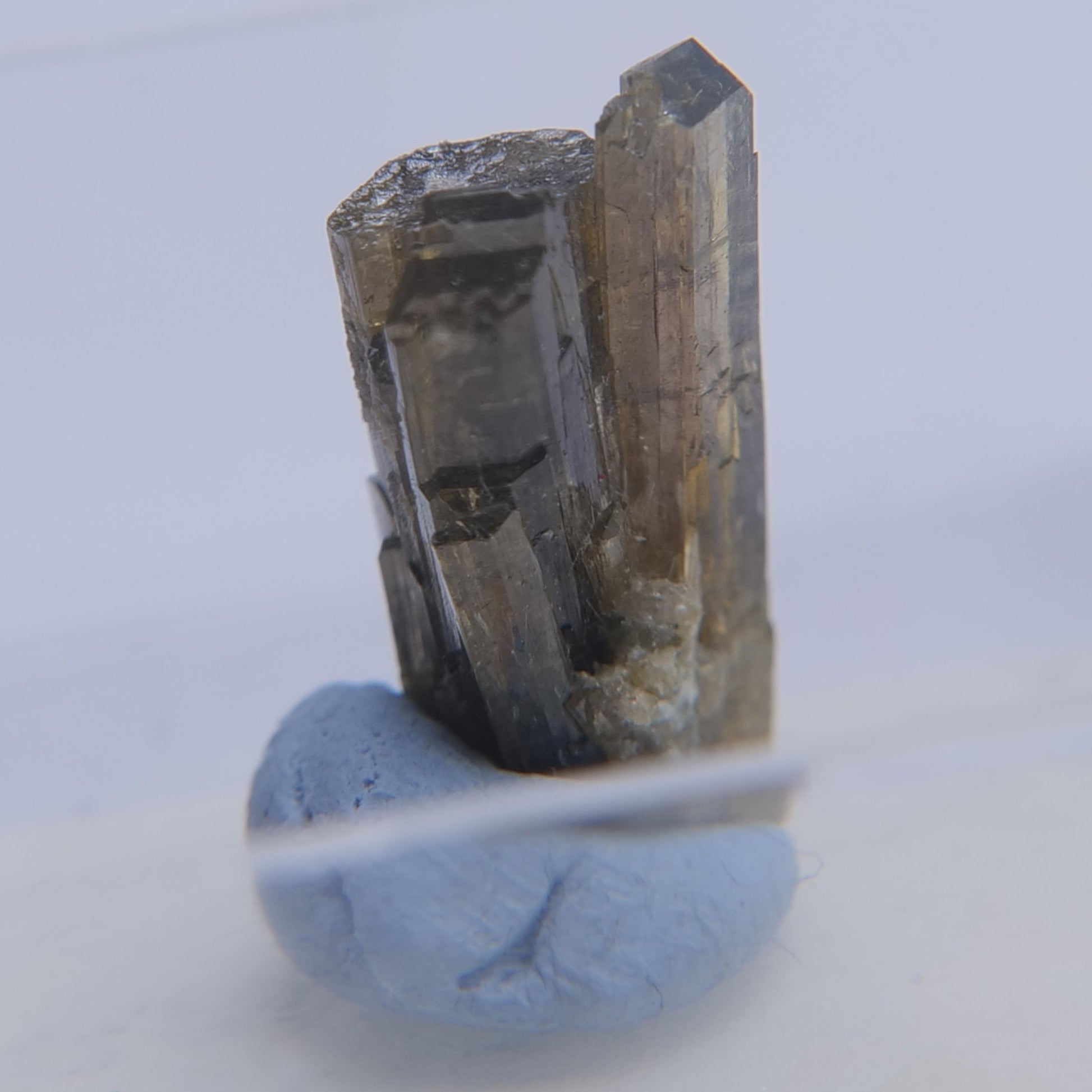 Epidote from Isere, Auvergne-Rhone-Alpes, France - Thumbnail - Luna Panther