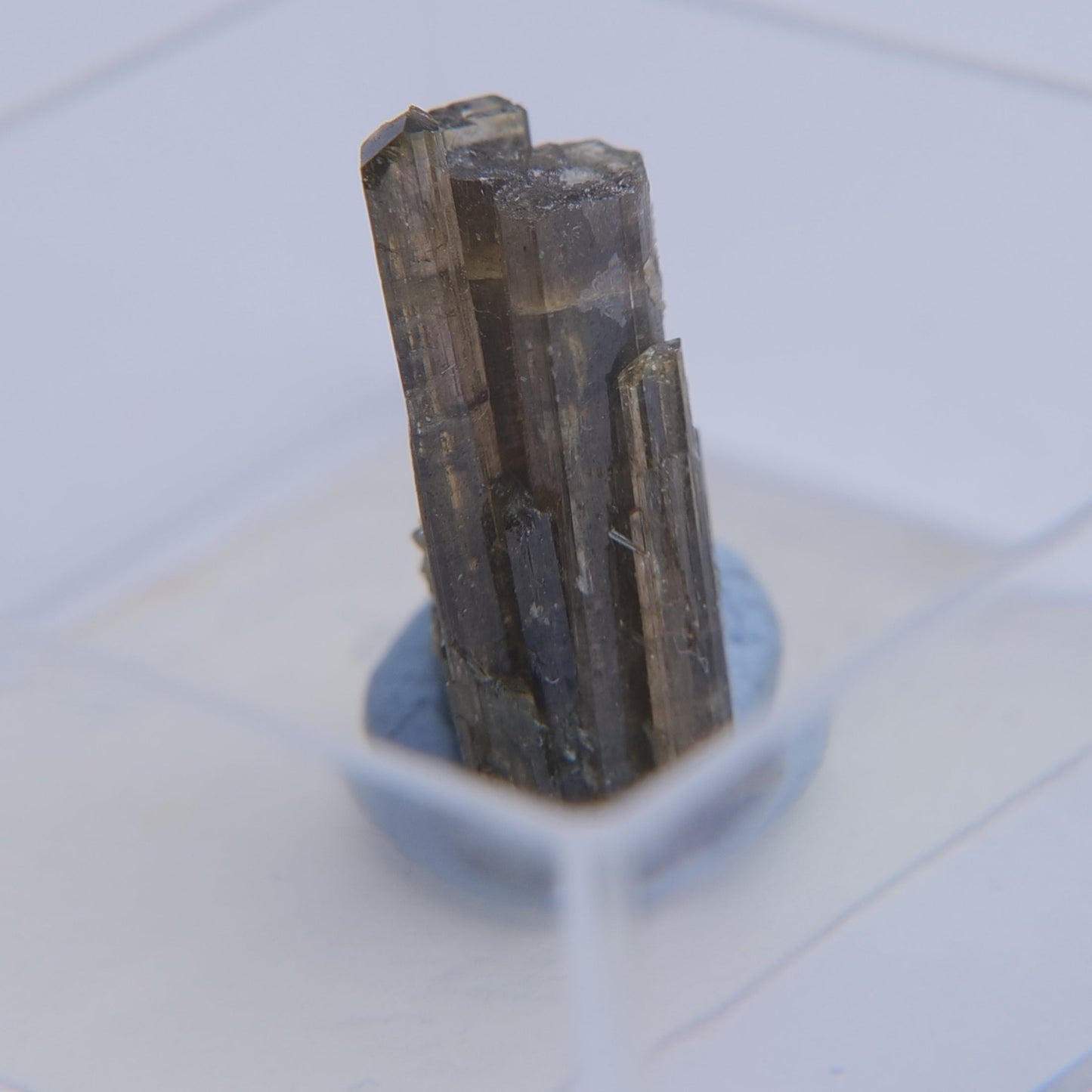 Epidote from Isere, Auvergne-Rhone-Alpes, France - Thumbnail - Luna Panther