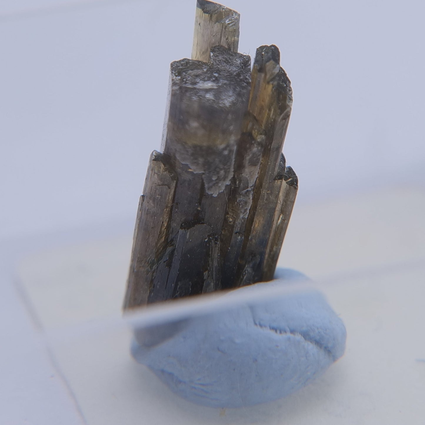 Epidote from Isere, Auvergne-Rhone-Alpes, France - Thumbnail - Luna Panther