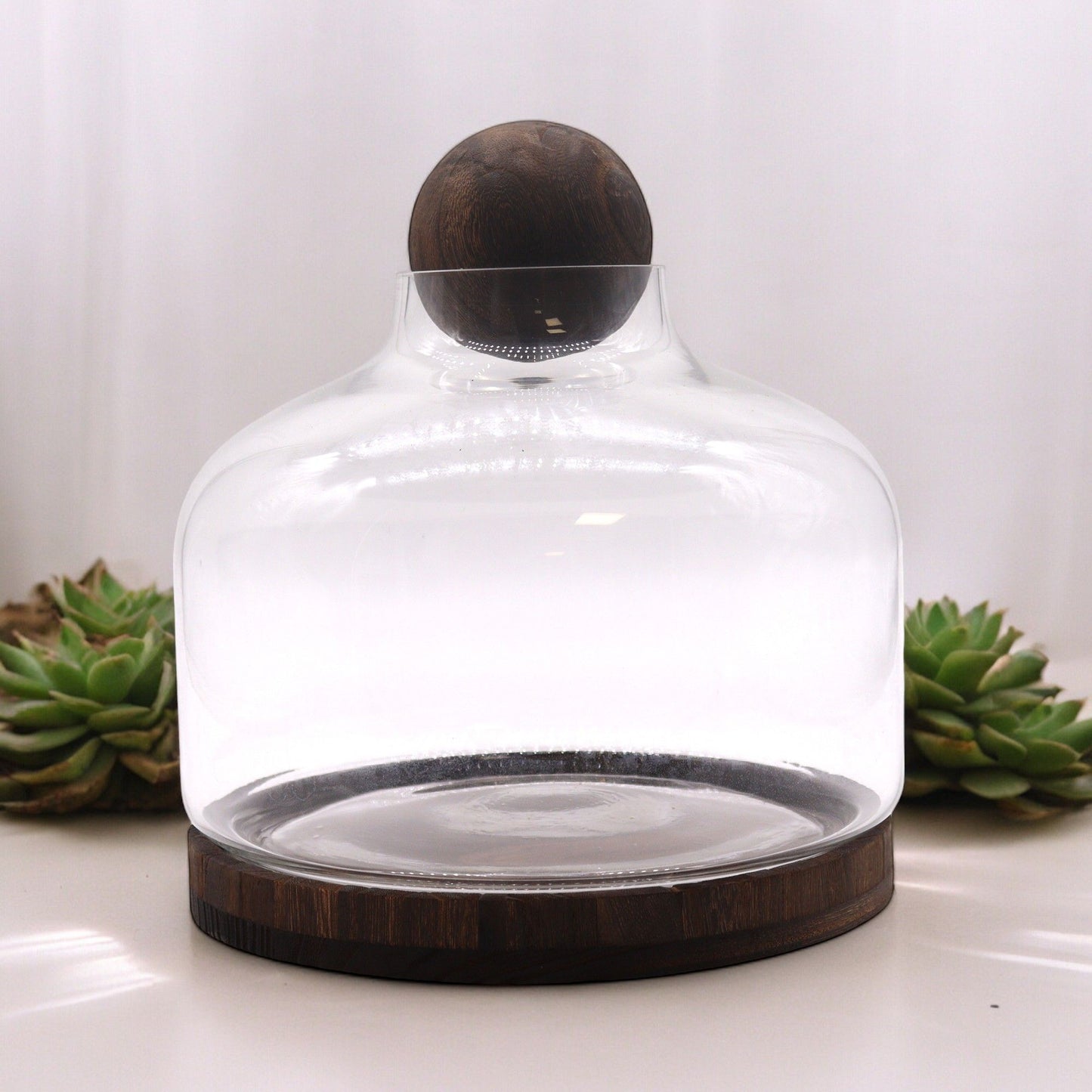 Ex - Large Ball Top Terrarium on Dark Tung Wood - Luna Panther