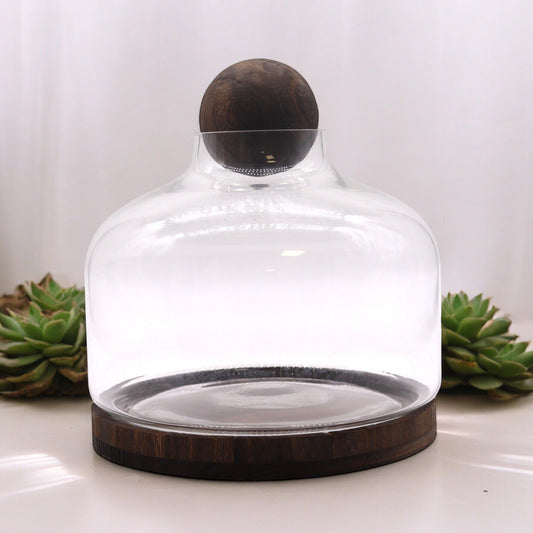 Ex - Large Ball Top Terrarium on Dark Tung Wood - Luna Panther