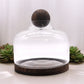Ex - Large Ball Top Terrarium on Dark Tung Wood - Luna Panther