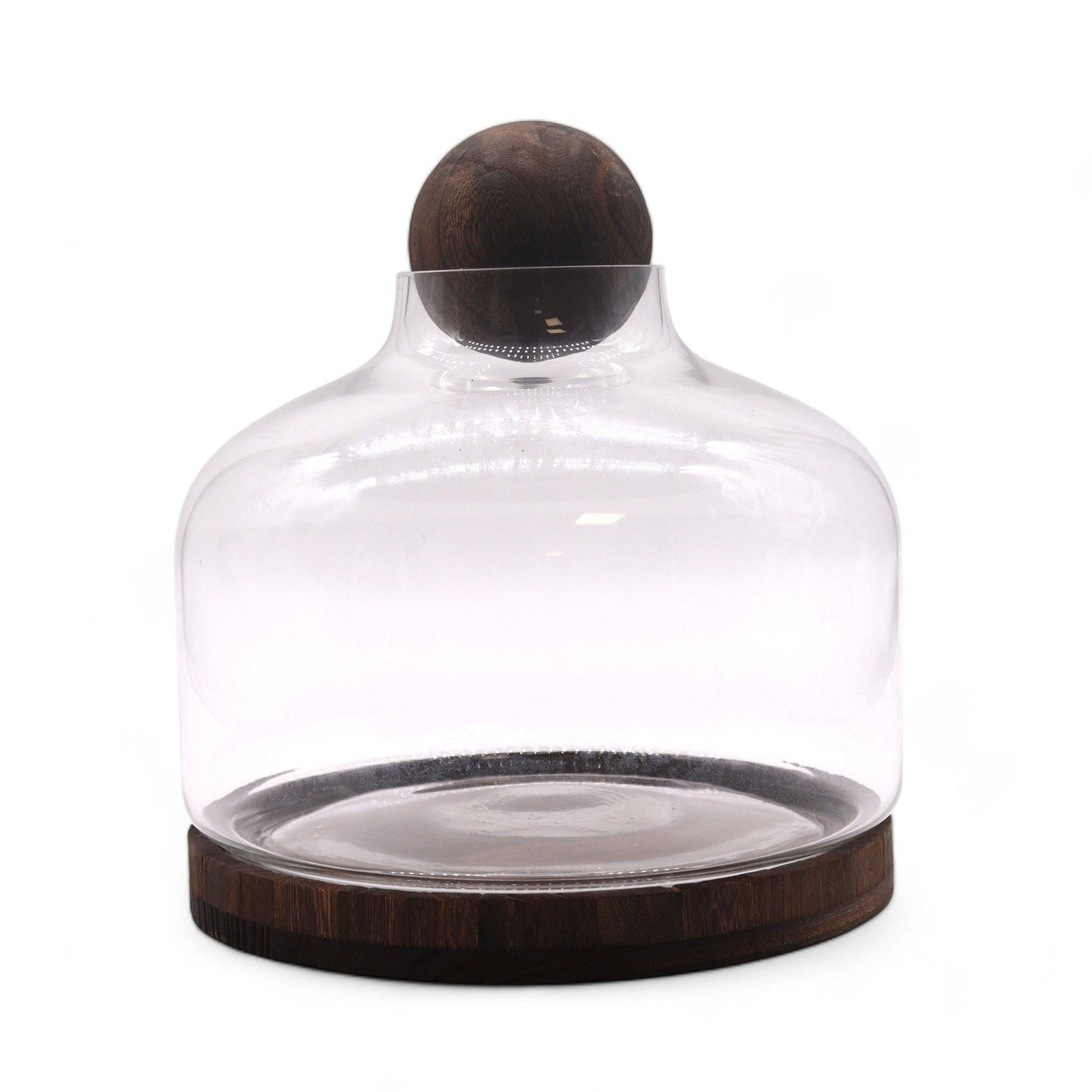 Ex - Large Ball Top Terrarium on Dark Tung Wood - Luna Panther