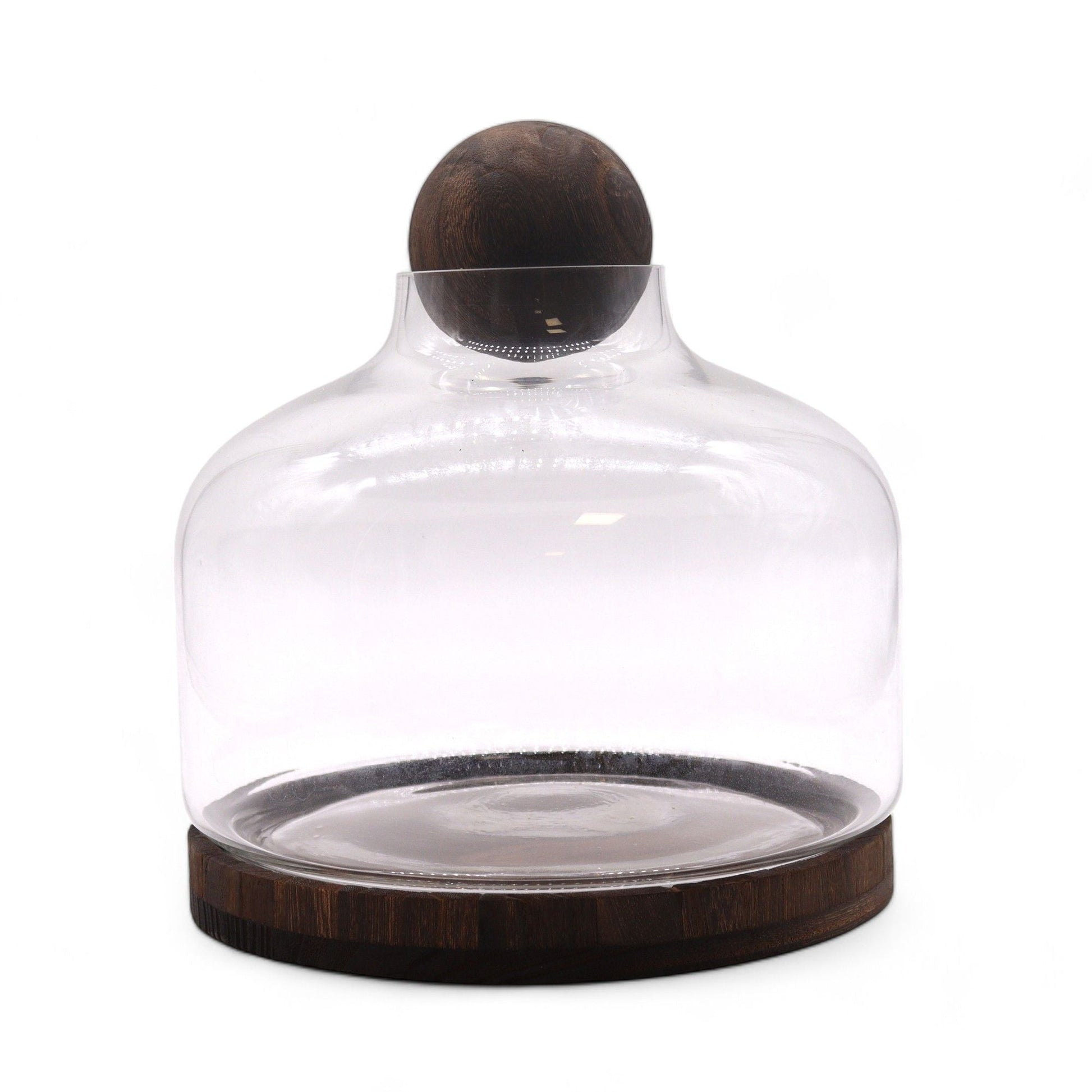 Ex - Large Ball Top Terrarium on Dark Tung Wood - Luna Panther