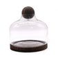 Ex - Large Ball Top Terrarium on Dark Tung Wood - Luna Panther