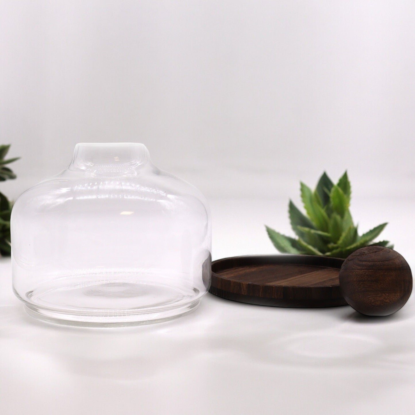 Ex - Large Ball Top Terrarium on Dark Tung Wood - Luna Panther