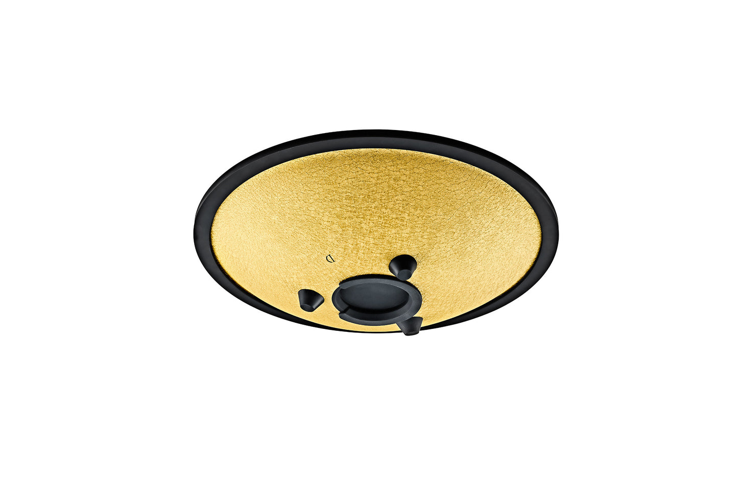 MEINL Sonic Energy Compact Steel Tongue Drum 10" - D Minor/8 Notes/432 Hz - Gold detail view 5 at Luna Panther