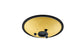 MEINL Sonic Energy Compact Steel Tongue Drum 10" - D Minor/8 Notes/432 Hz - Gold detail view 5 at Luna Panther