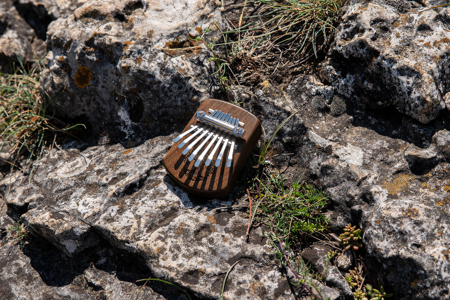 Meinl Sonic Energy Solid "Tree of Life" Mini Kalimba - 8 notes, black walnut detail view 13 at Luna Panther