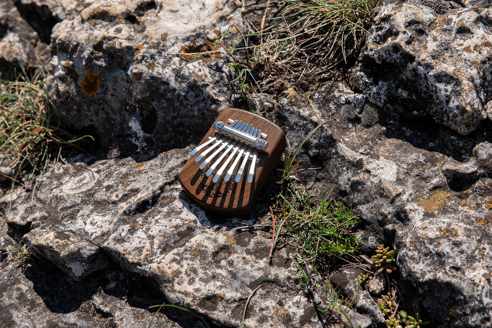 Meinl Sonic Energy Solid "Tree of Life" Mini Kalimba - 8 notes, black walnut detail view 13 at Luna Panther