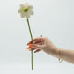 Felt Flowers - Daisy (assorted colours) - Luna Panther
