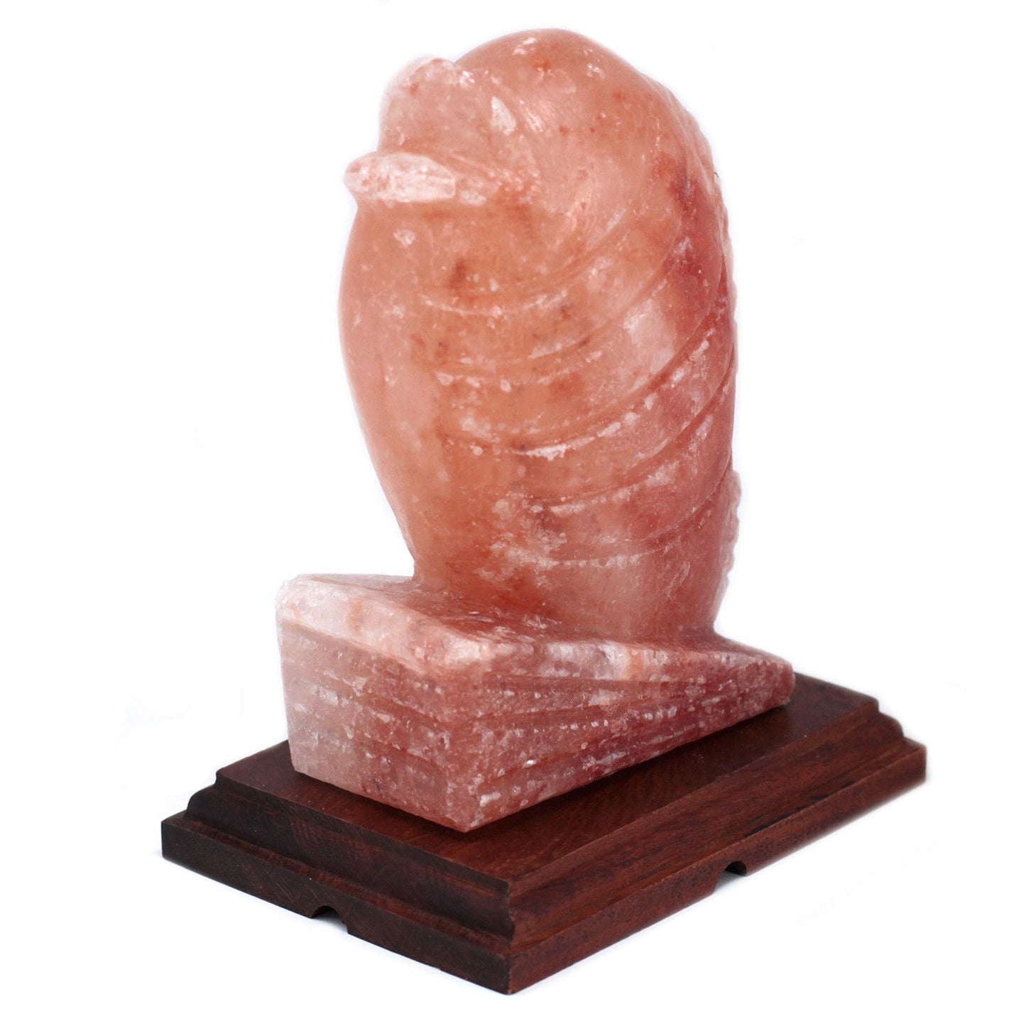 Polished Fish Shaped Salt Lamp featuring natural patterning and unique variations - Luna Panther