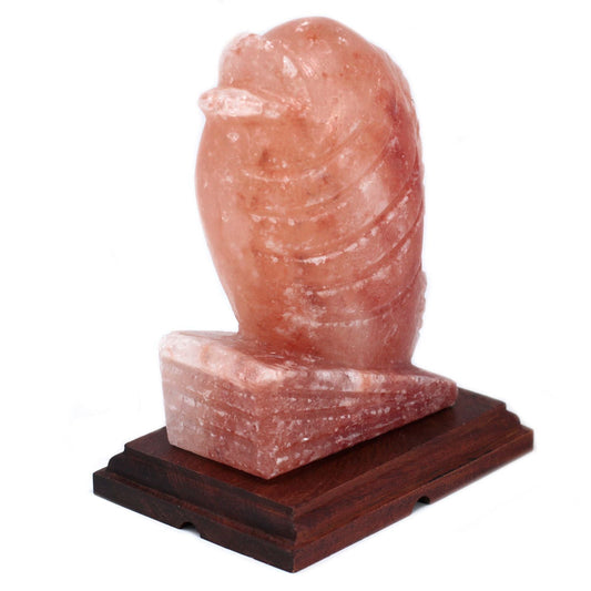 Polished Fish Shaped Salt Lamp featuring natural patterning and unique variations - Luna Panther