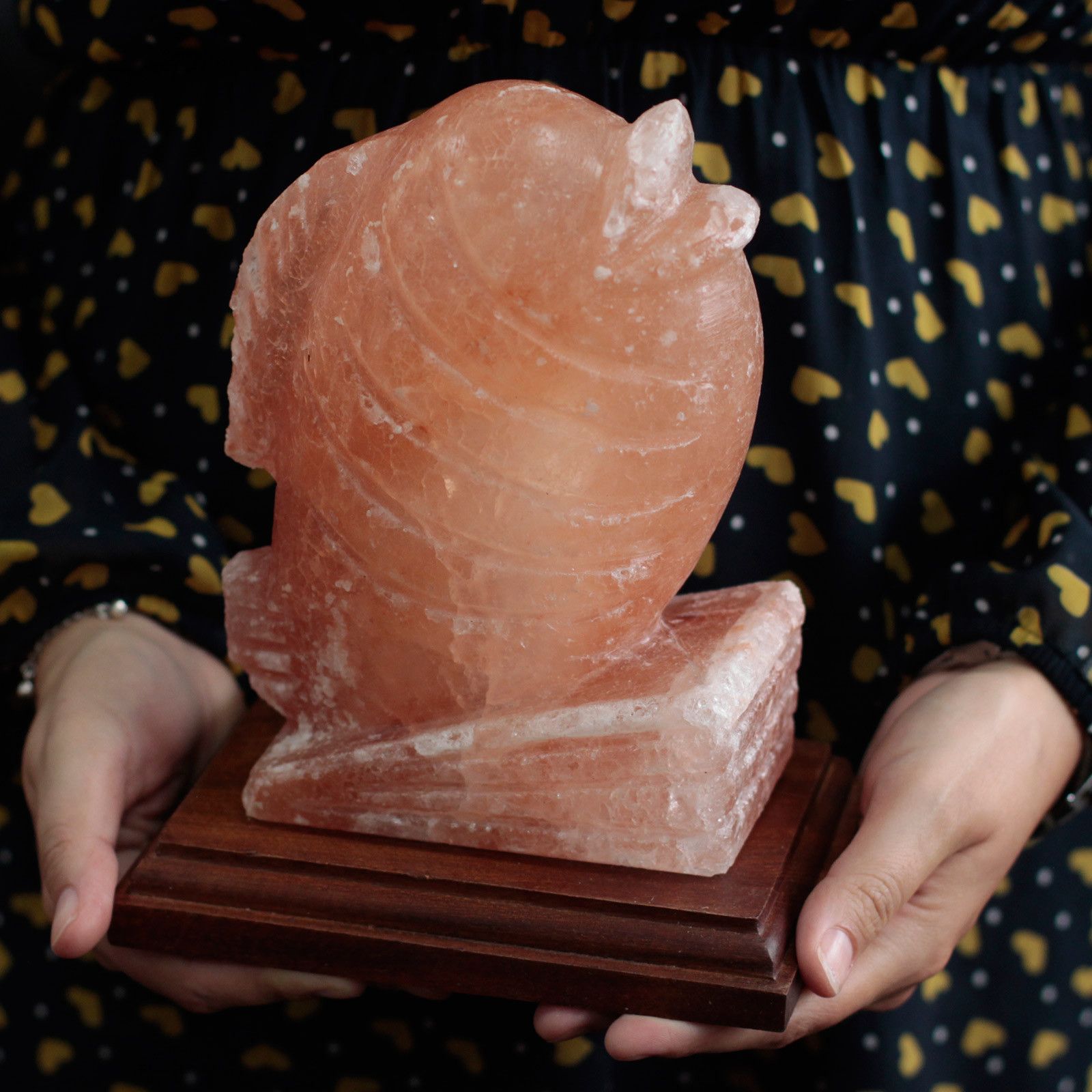 Polished Fish Shaped Salt Lamp featuring natural patterning and unique variations - Luna Panther