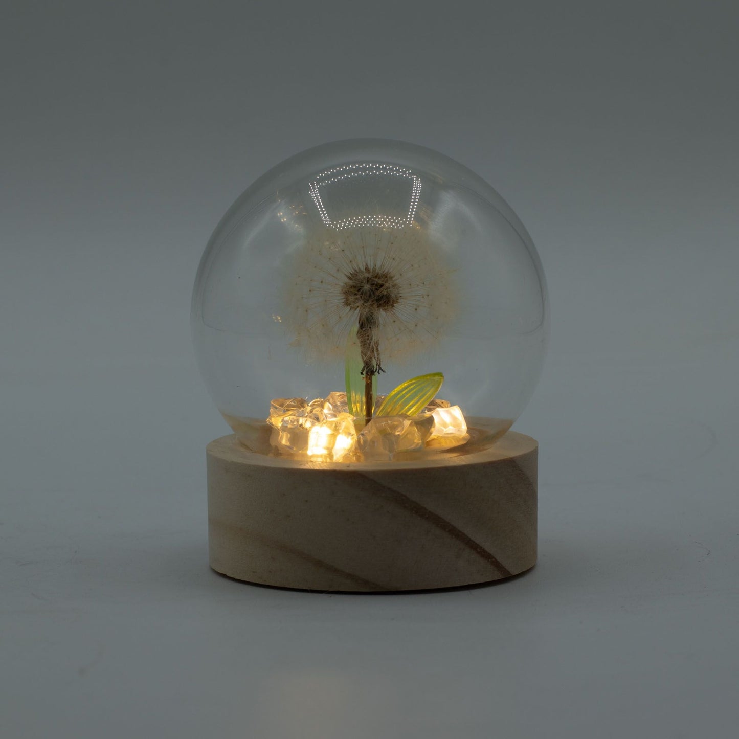Floral Glow Garden Dome - 1 Dandelion - LED Battery - Luna Panther