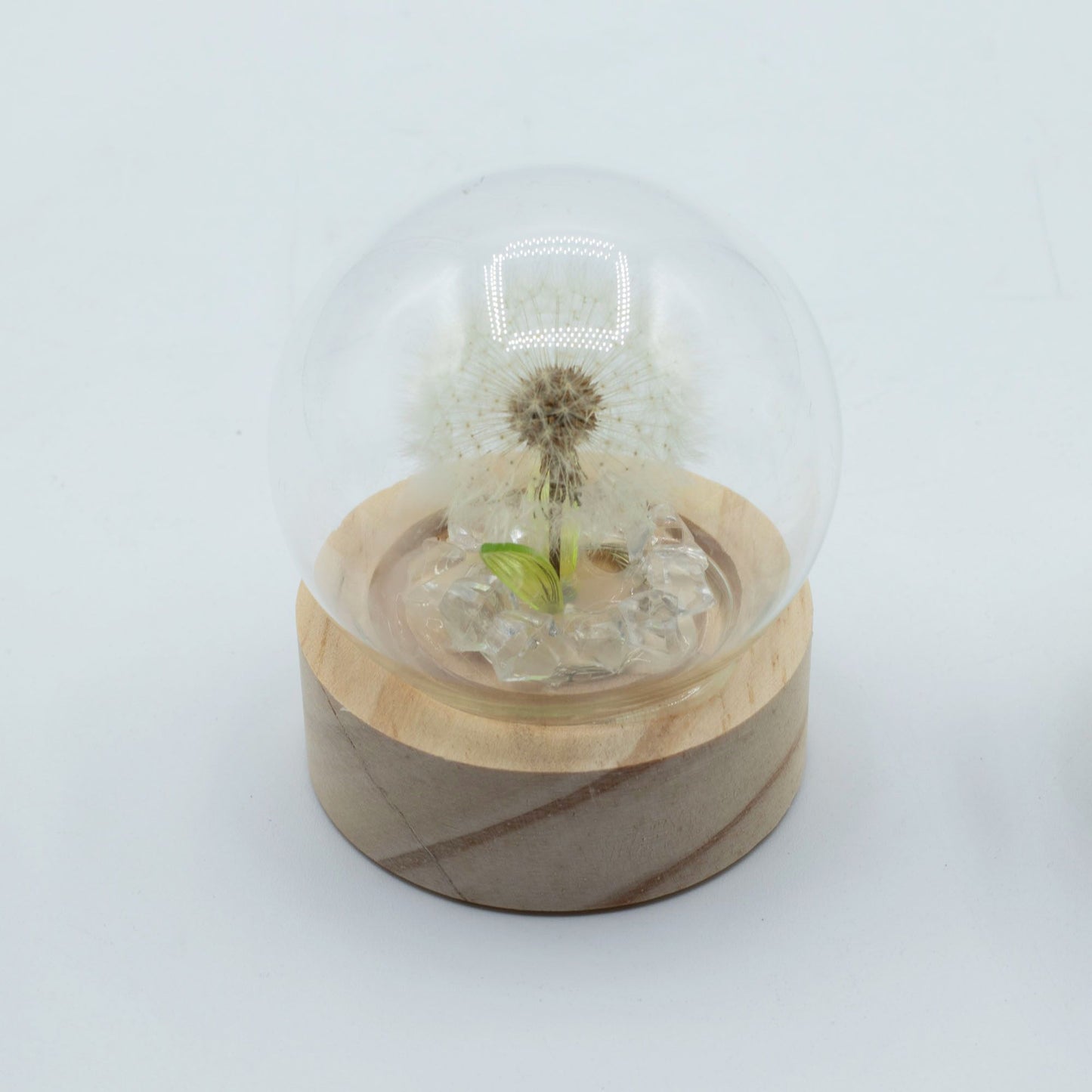 Floral Glow Garden Dome - 1 Dandelion - LED Battery - Luna Panther