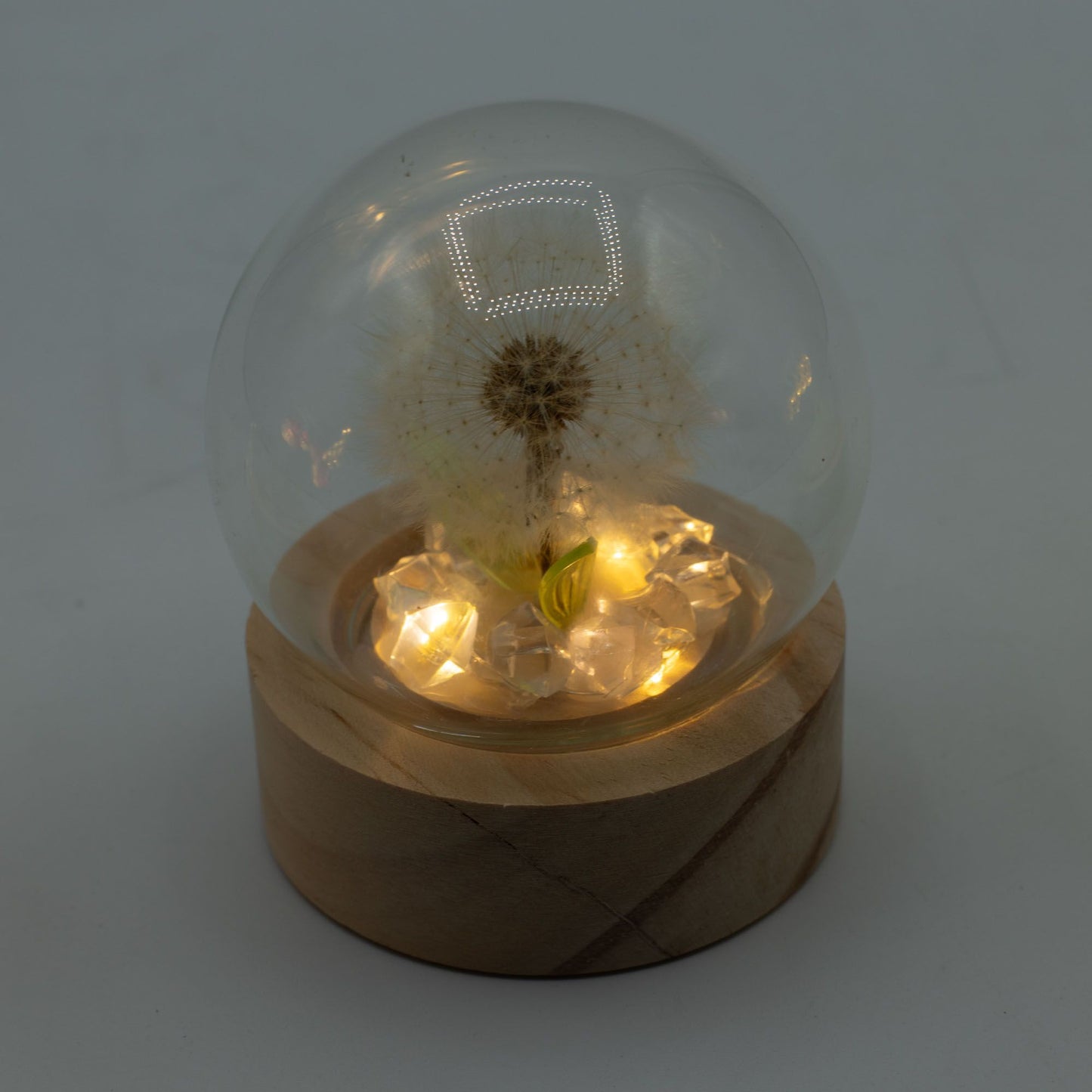 Floral Glow Garden Dome - 1 Dandelion - LED Battery - Luna Panther