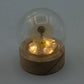 Floral Glow Garden Dome - 1 Dandelion - LED Battery - Luna Panther
