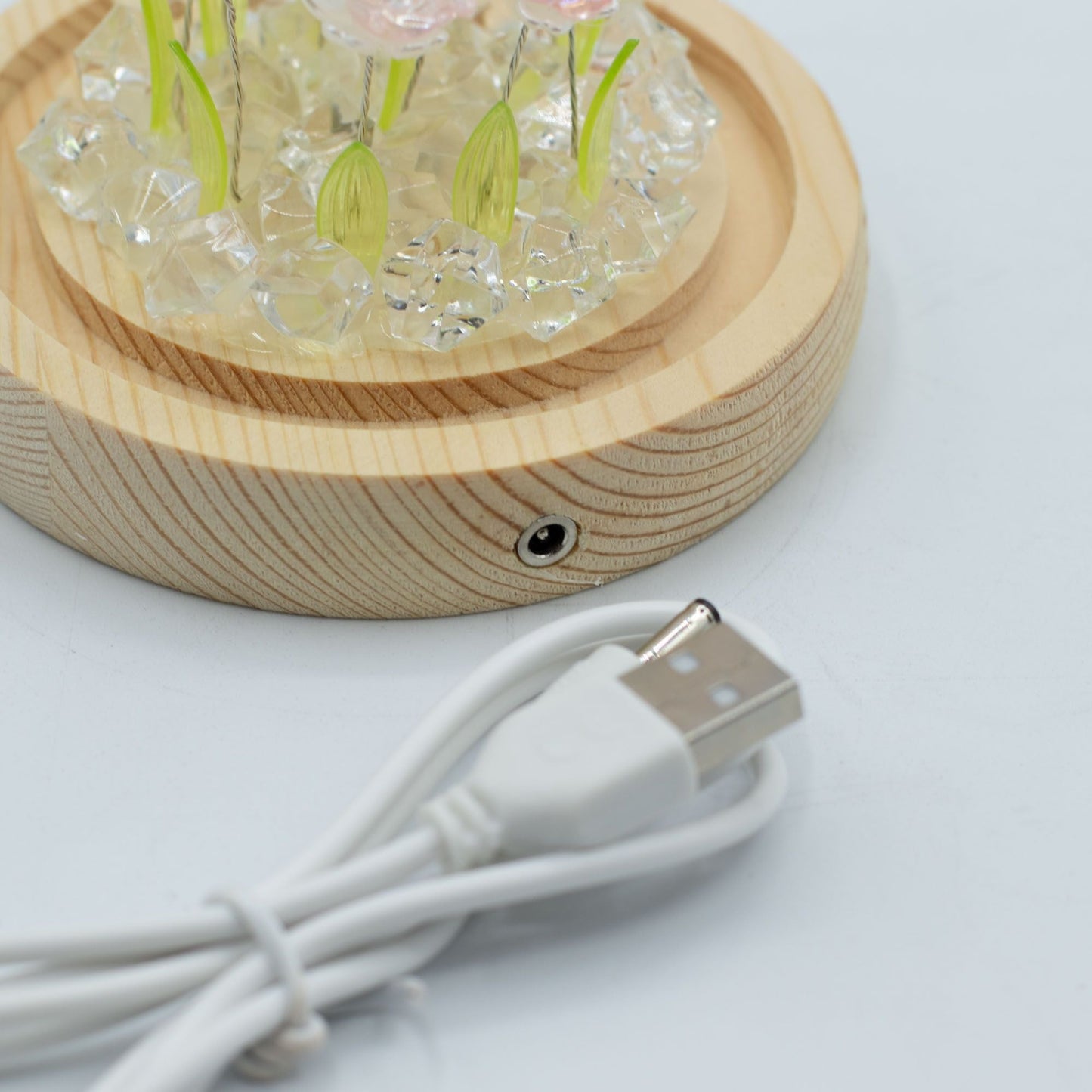 Floral Glow Garden Dome - 10 Pink Roses - LED USB - Luna Panther