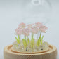 Floral Glow Garden Dome - 10 Pink Roses - LED USB - Luna Panther